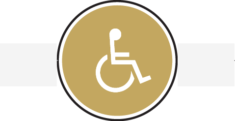 Icon with wheelchair image